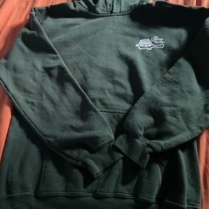 The green turtle hoodie